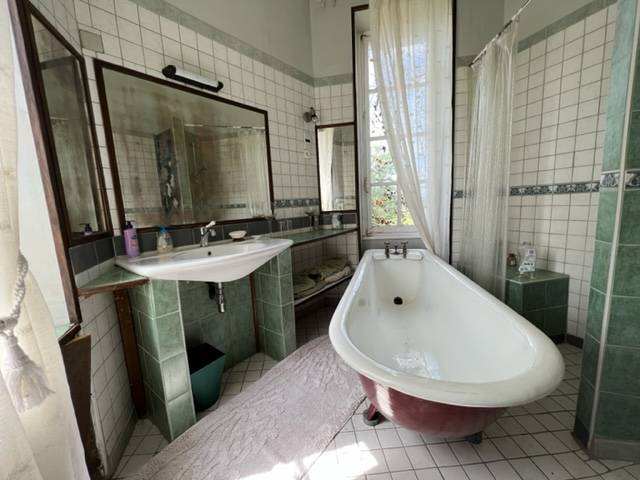 Castello In vendita Vienne