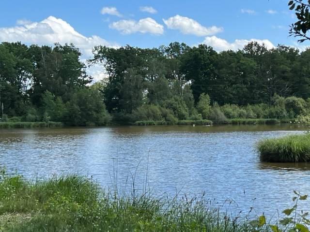 Castello In vendita Vienne