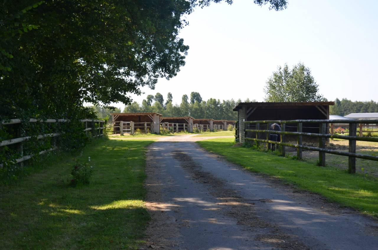 Centro di stagione cavallo In vendita Calvados
