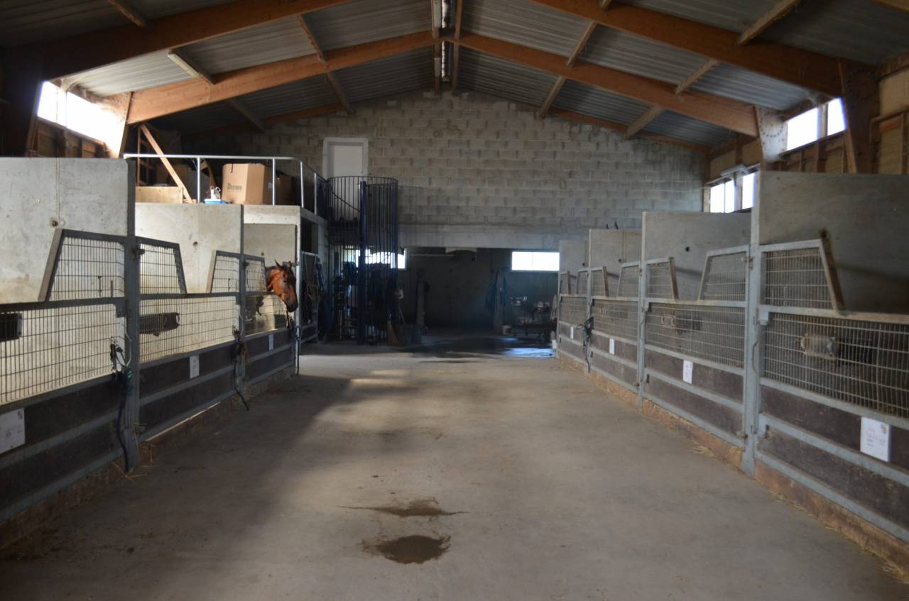 Centro di stagione cavallo In vendita Calvados