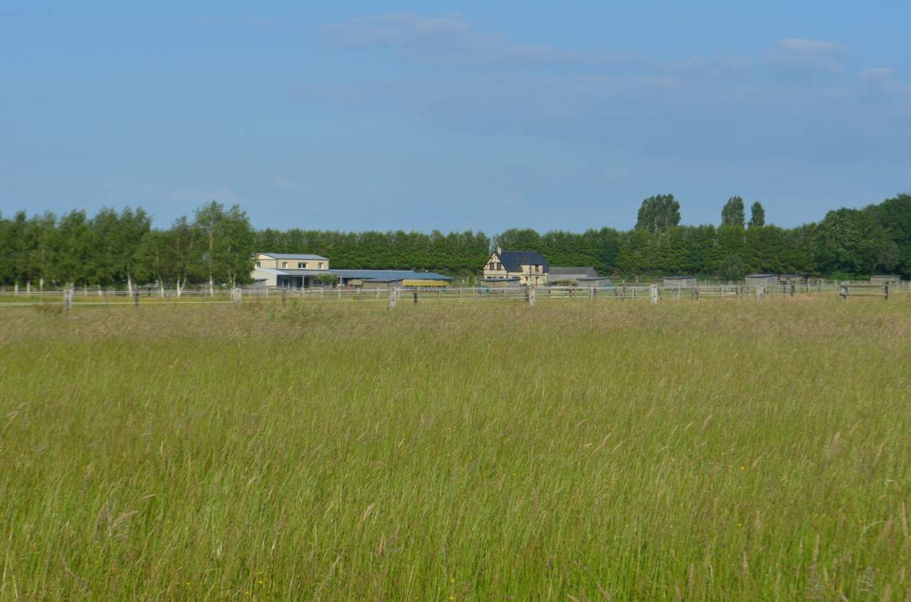 Centro di stagione cavallo In vendita Calvados