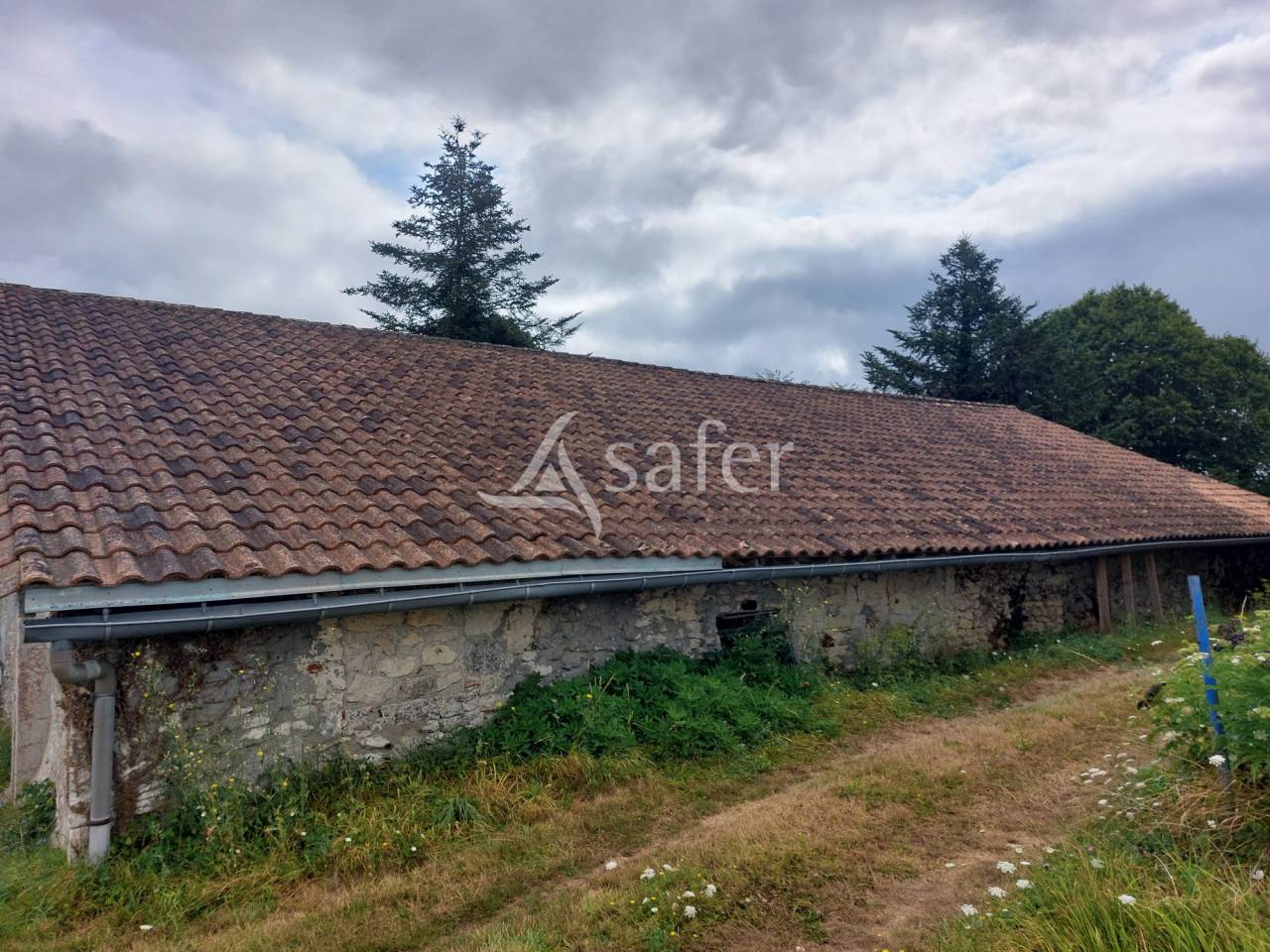 Azienda ovina In vendita Dordogne