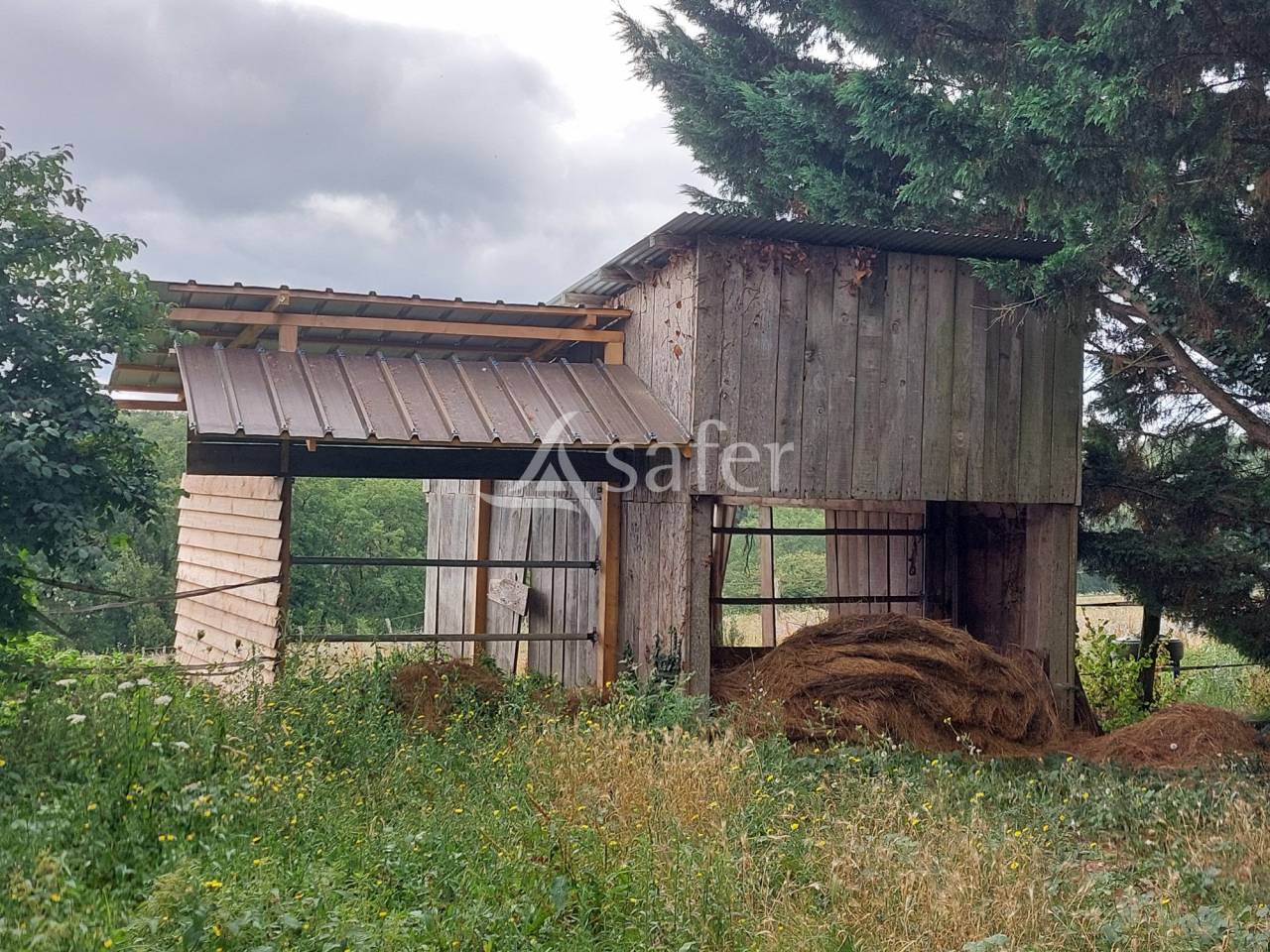 Azienda ovina In vendita Dordogne