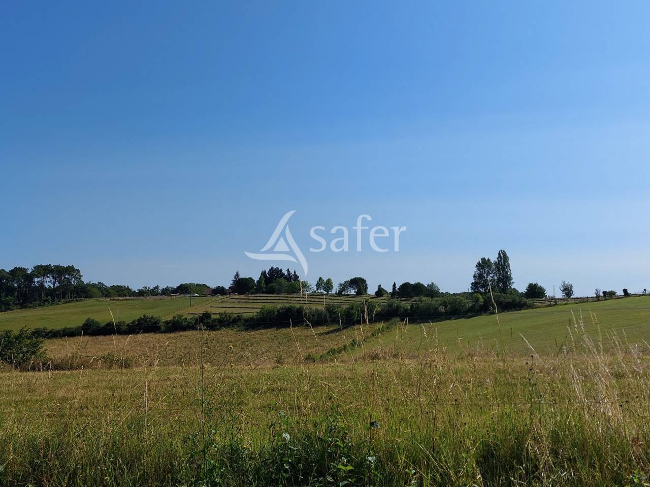 Azienda ovina In vendita Dordogne