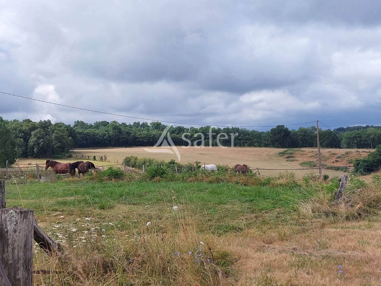 Azienda ovina In vendita Dordogne