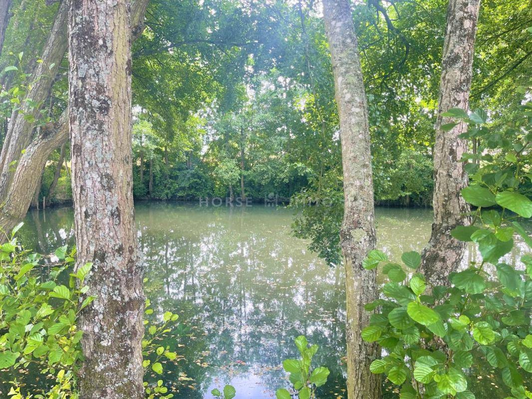 Proprietà equestre In vendita Indre-et-Loire