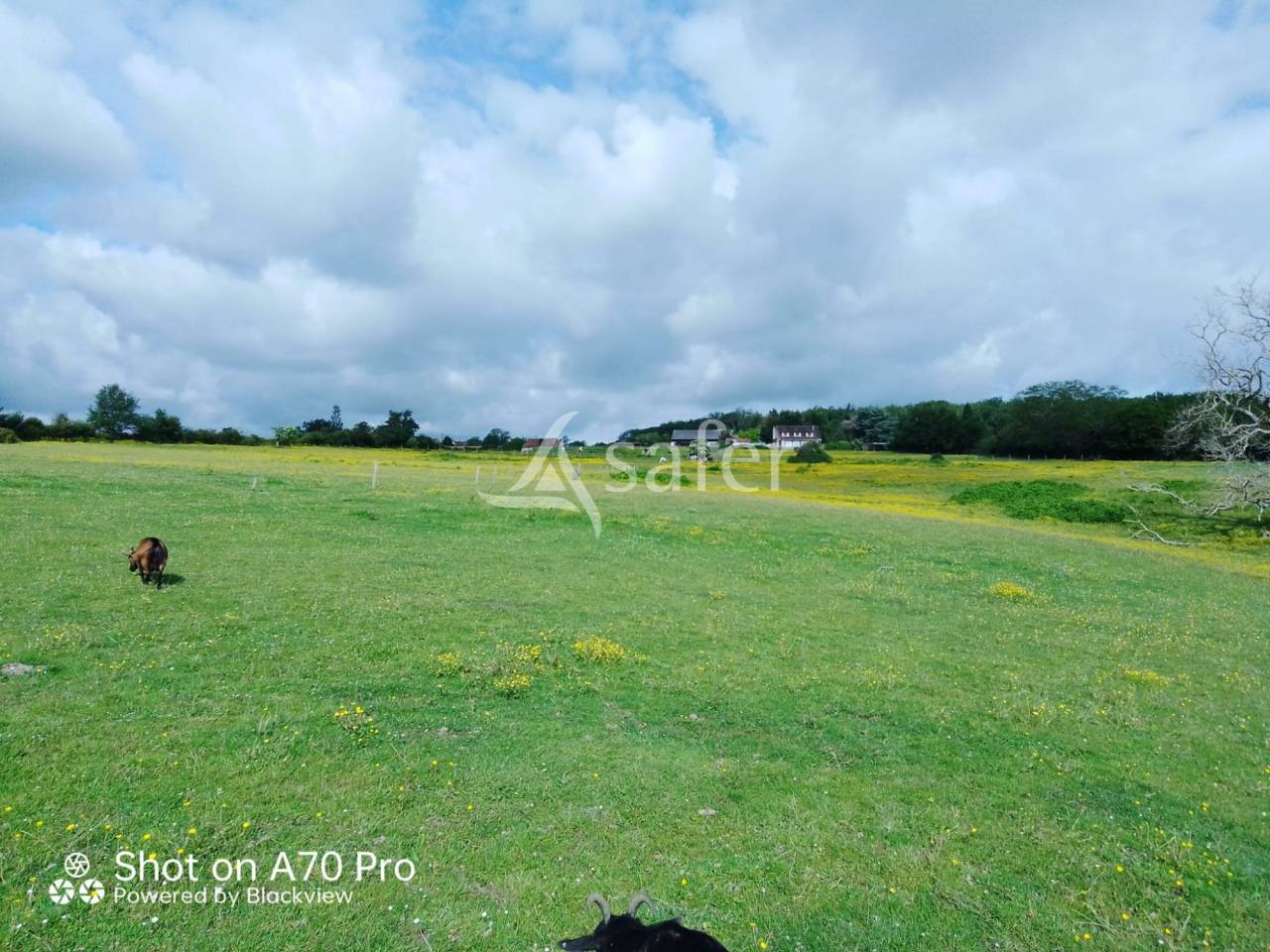 Proprietà equestre In vendita Allier