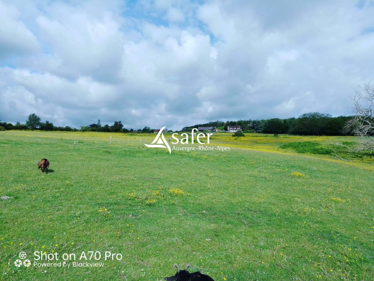 Propriet&agrave; equestre In vendita Allier