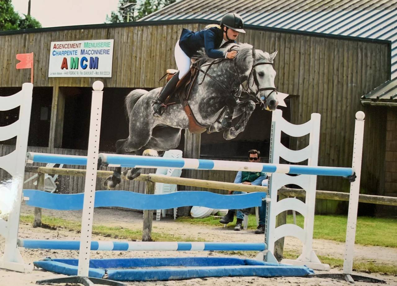 Cavalla PFS Pony Francese da Sella Noleggio 2015 Sauro