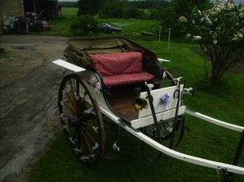 Attacchi - Calesse Fenix Carriages  