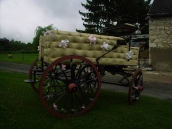 Attacchi - Calesse Fenix Carriages  