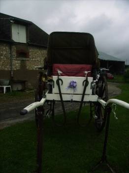 Attacchi - Calesse Fenix Carriages  