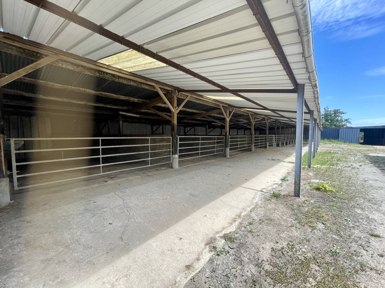 Centro di stagione cavallo In vendita Orne