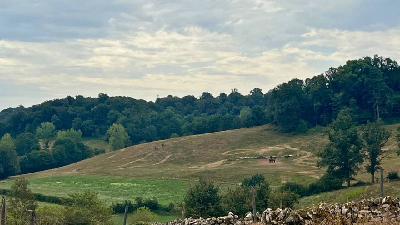 Propriet&agrave; equestre In vendita Lot