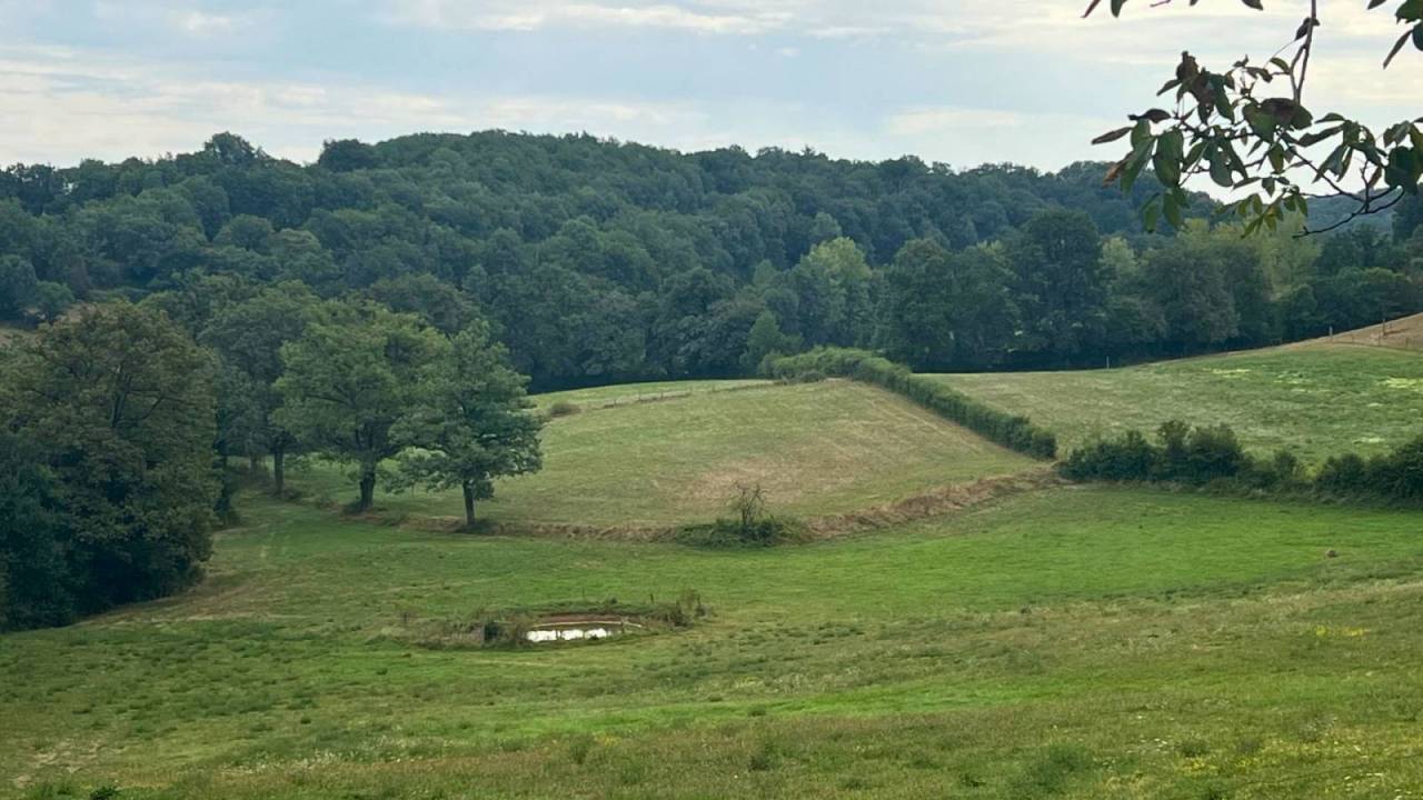 Propriet&agrave; equestre In vendita Lot