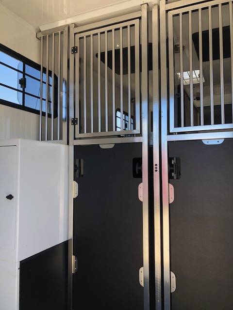 Van per Cavalli Trans Box New Svelto 3 2020 Occasione