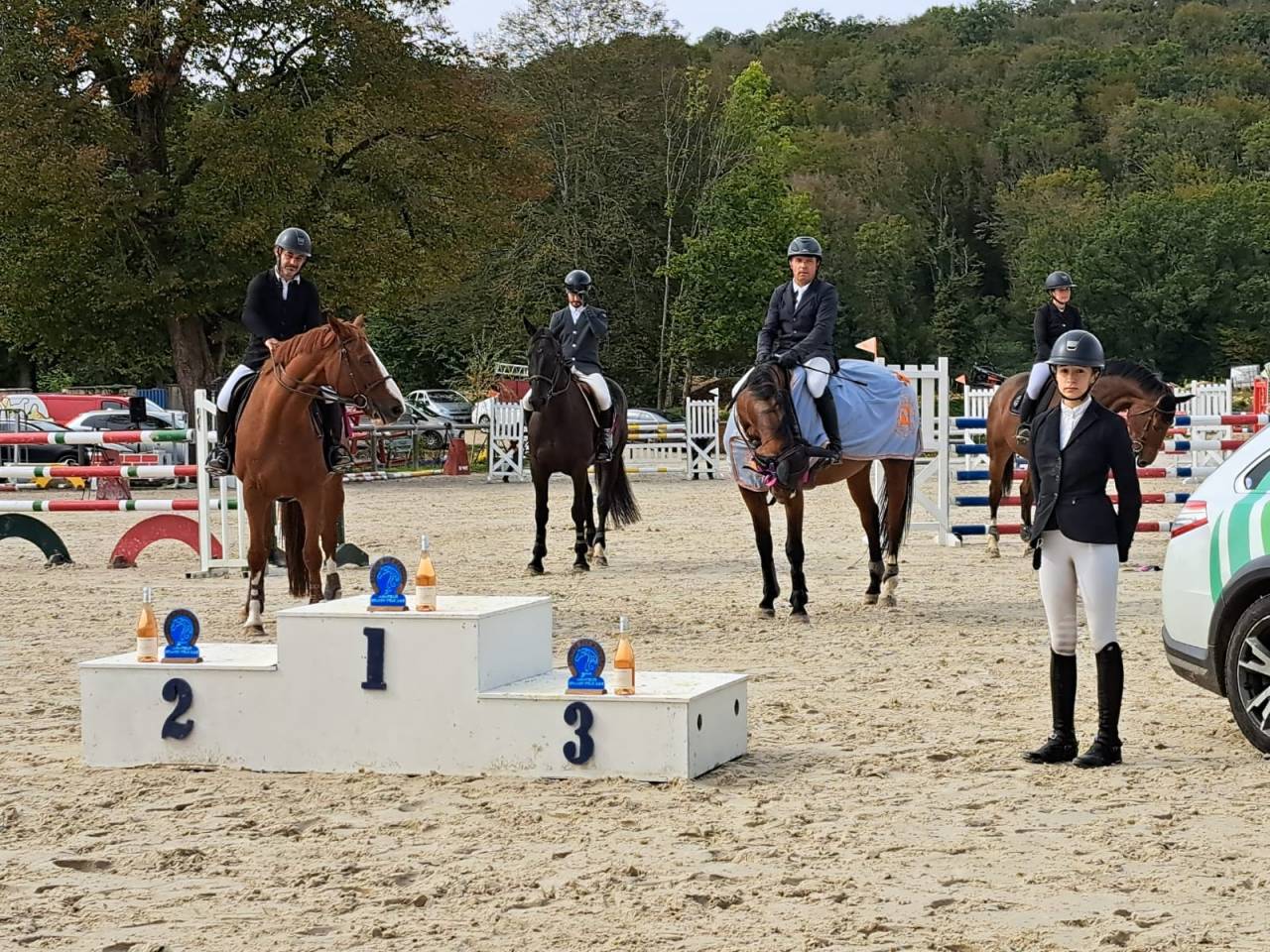 Castrone Sella Francese In vendita 2012 Baio ,  KANNAN