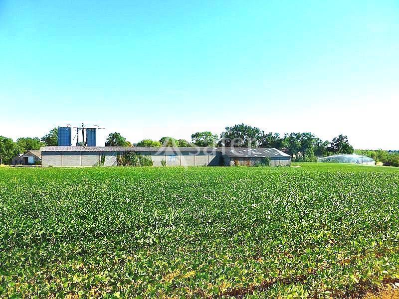 Azienda cerealicola In vendita Tarn-et-Garonne