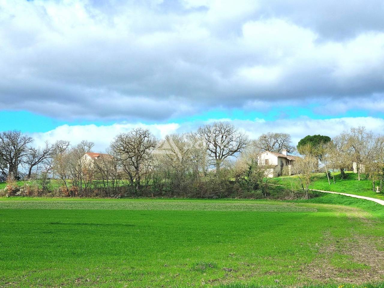 Azienda cerealicola In vendita Tarn-et-Garonne