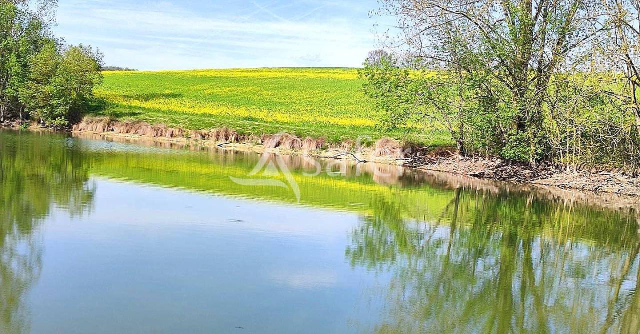Azienda cerealicola In vendita Tarn-et-Garonne