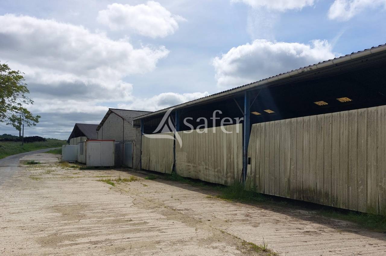 Azienda ovina In vendita Dordogne