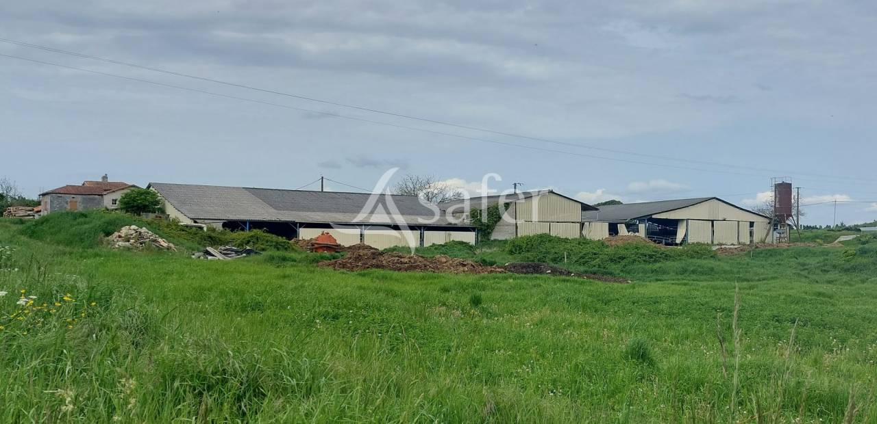 Azienda ovina In vendita Dordogne