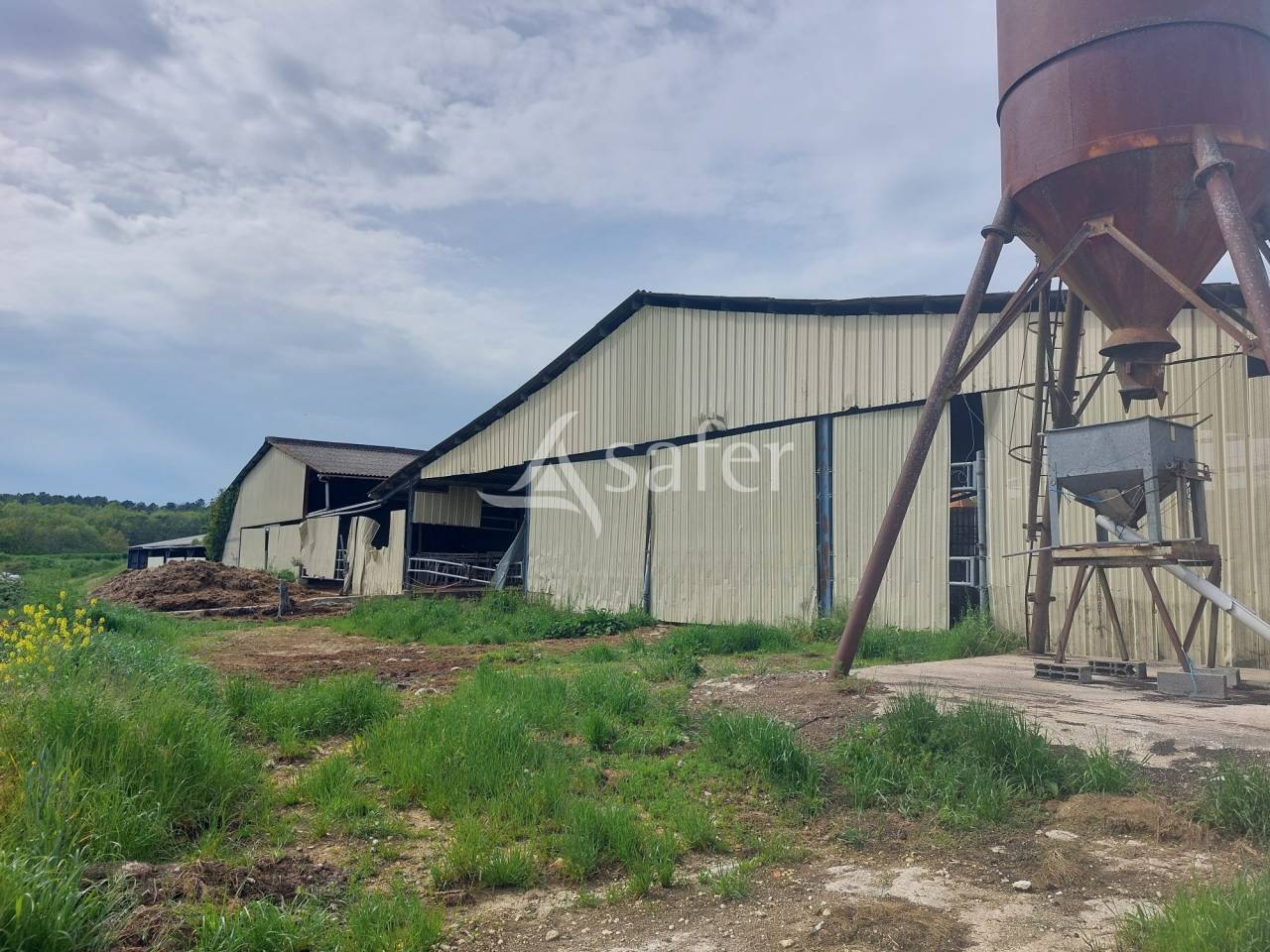 Azienda ovina In vendita Dordogne