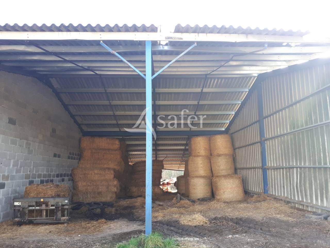 Azienda ovina In vendita Dordogne