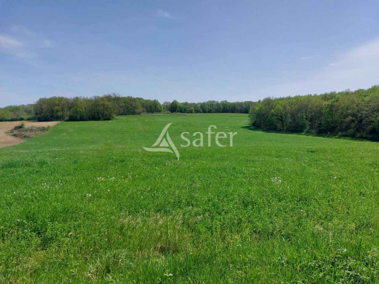 Azienda ovina In vendita Dordogne