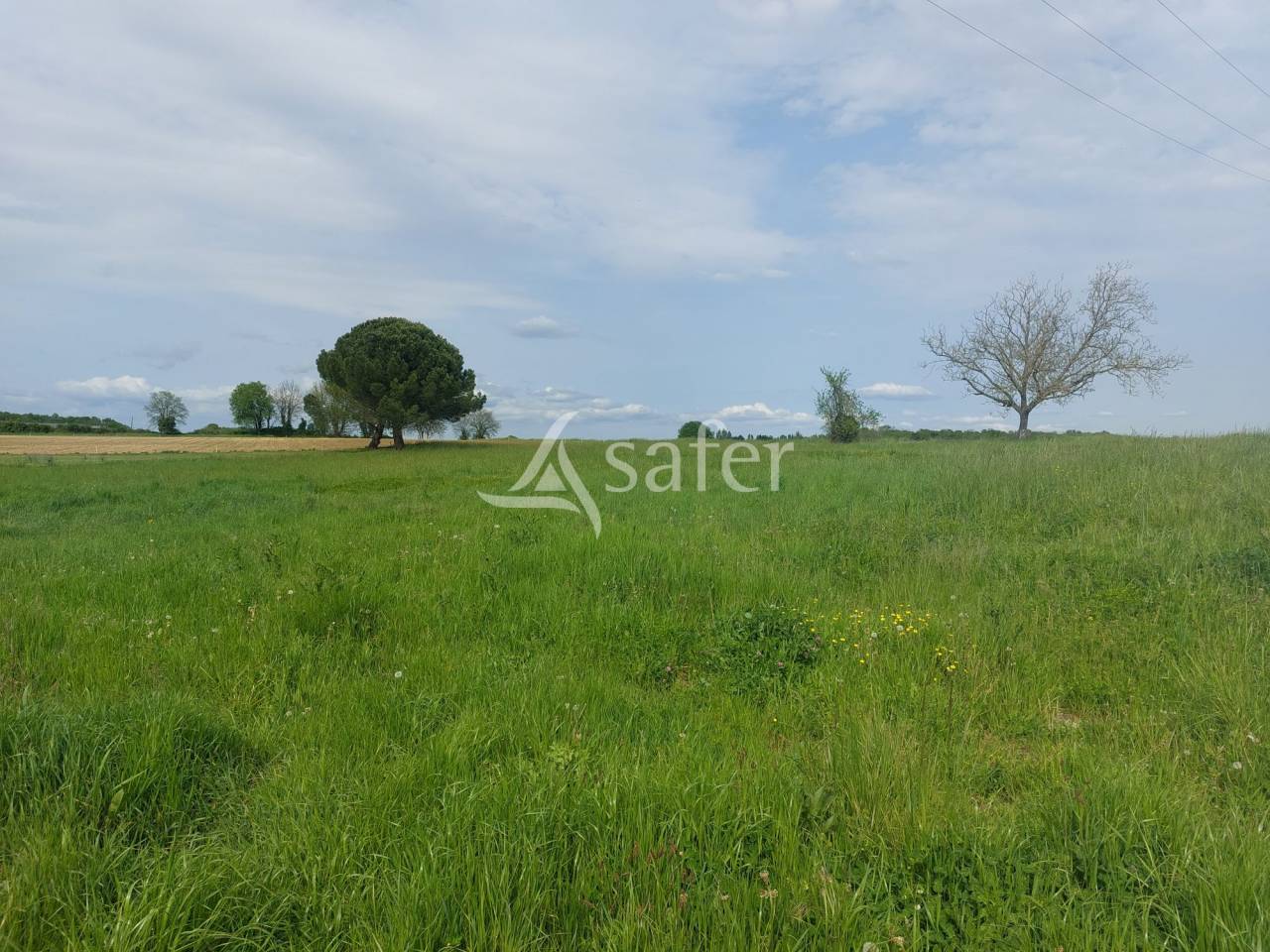 Azienda ovina In vendita Dordogne