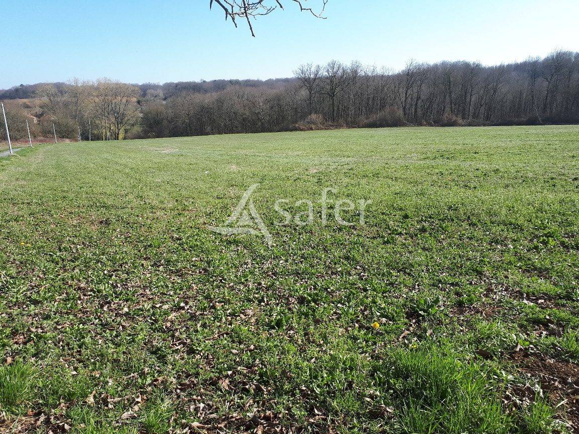 Azienda ovina In vendita Dordogne