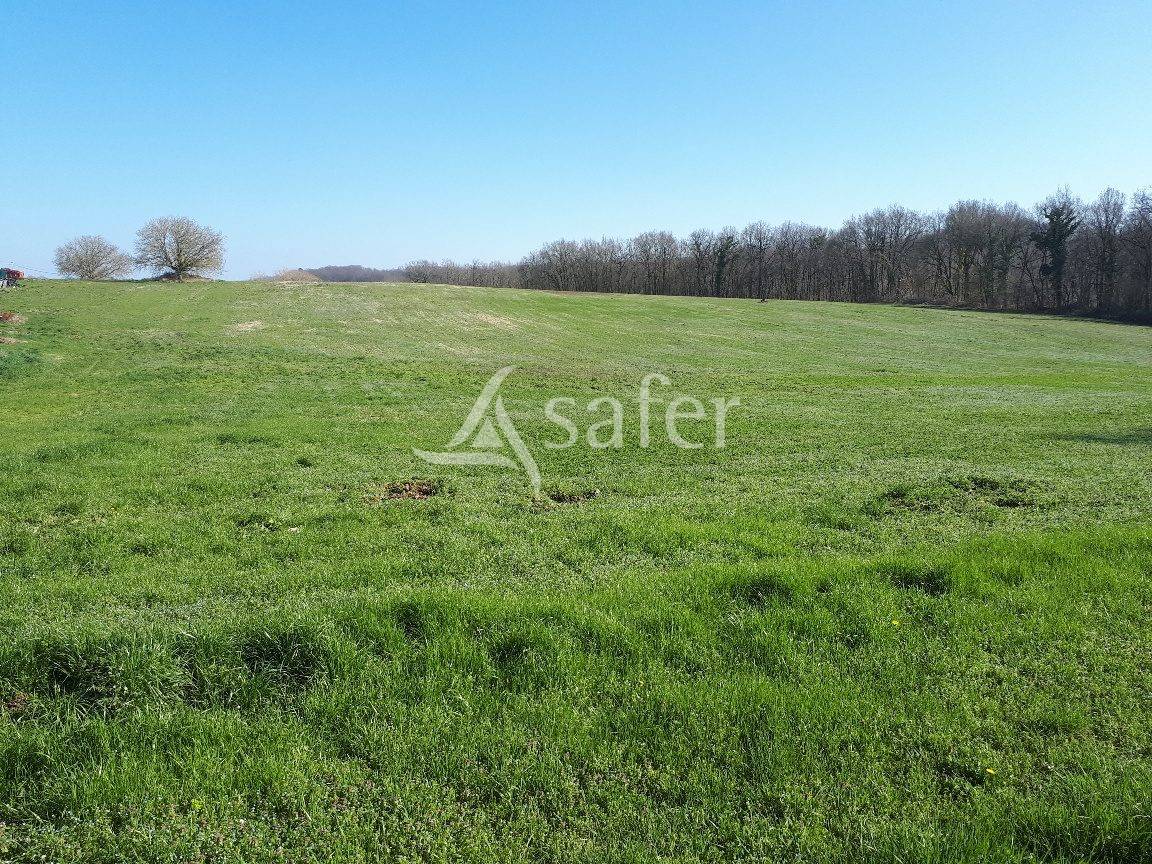 Azienda ovina In vendita Dordogne