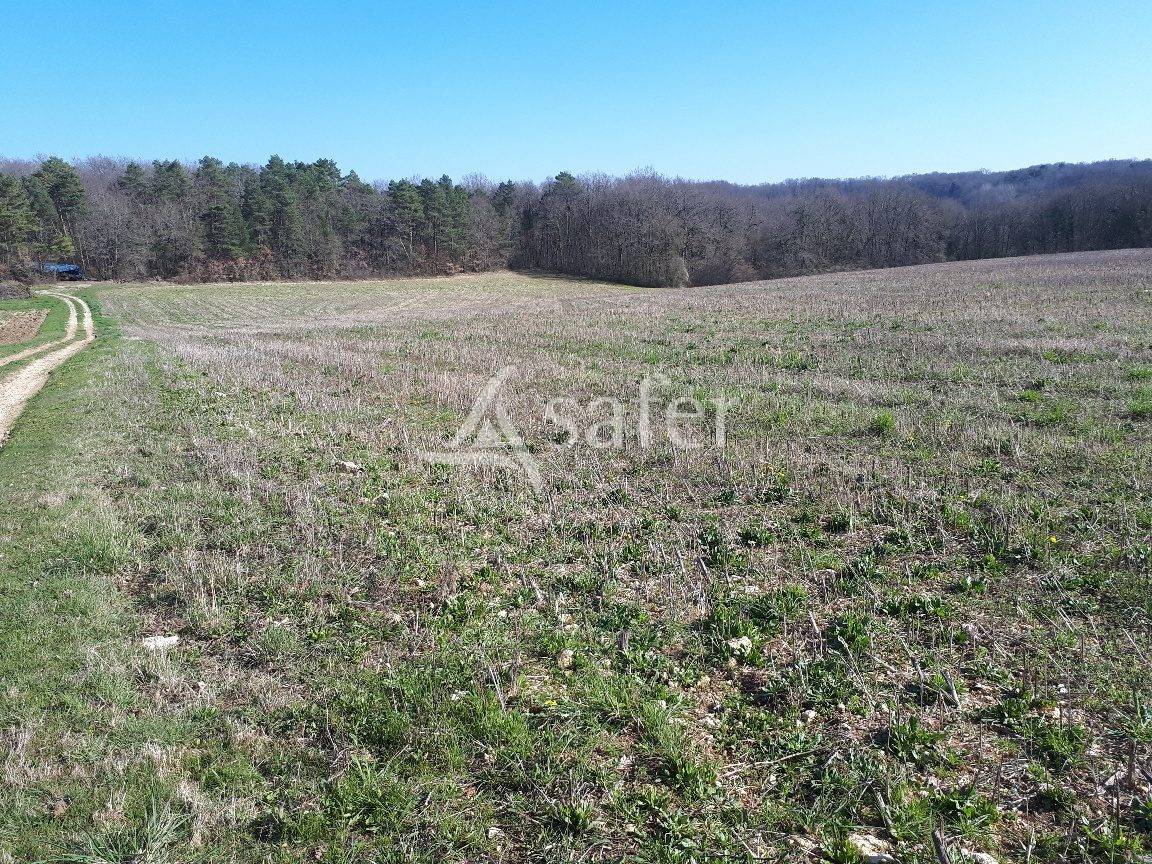 Azienda ovina In vendita Dordogne