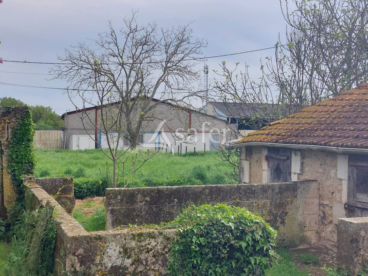 Azienda ovina In vendita Dordogne