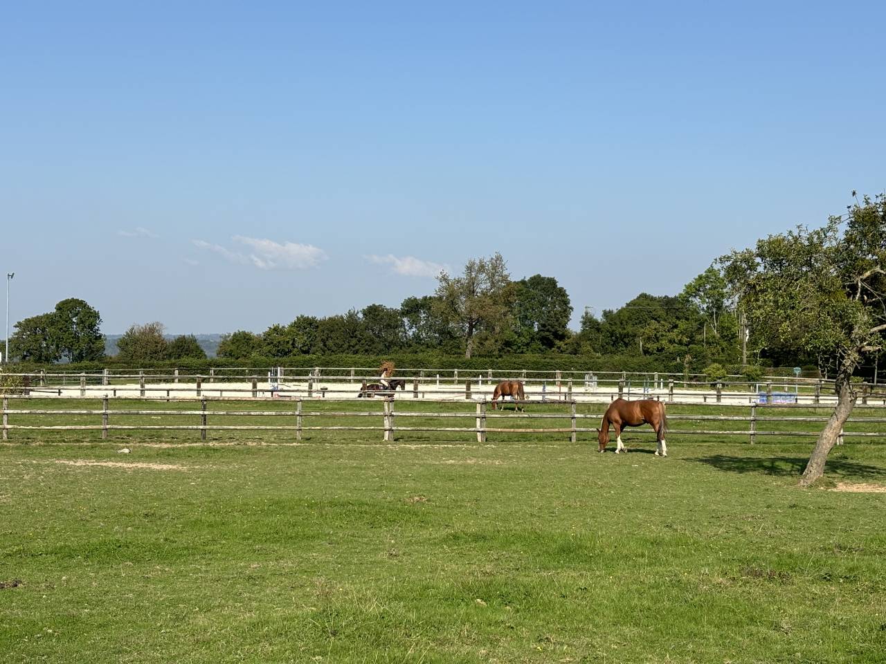 Centro di stagione cavallo In vendita Calvados