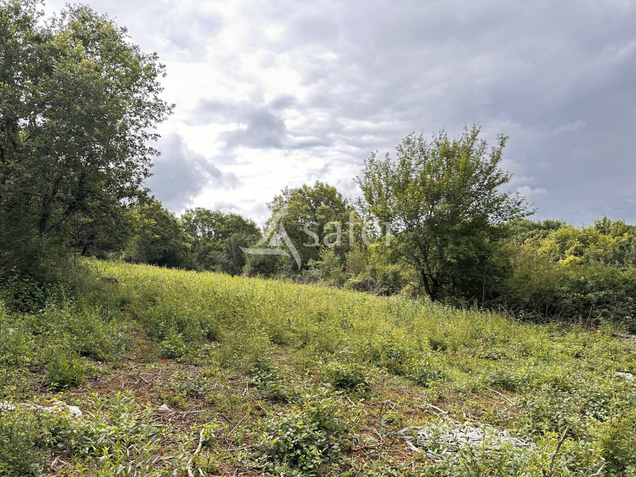 Proprietà rurale In vendita Charente
