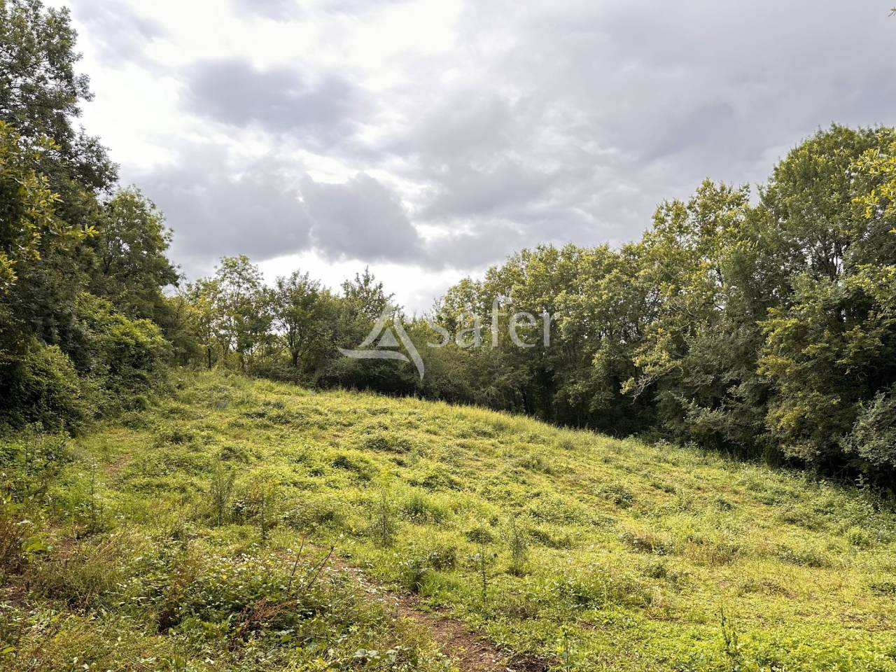 Proprietà rurale In vendita Charente