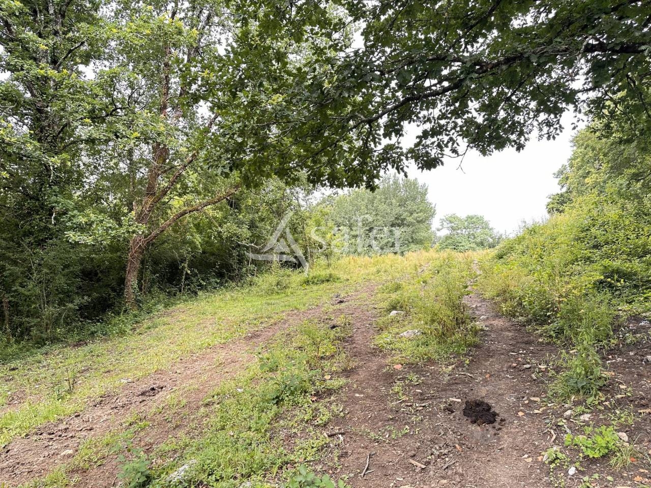 Propriet&agrave; rurale In vendita Charente