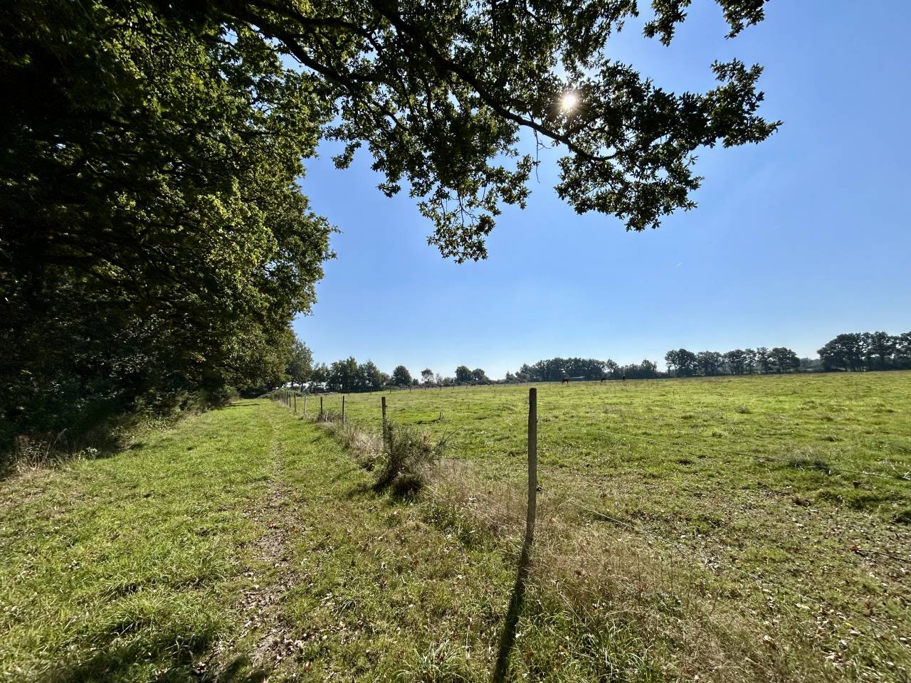 Scuderia per proprietari In vendita Loire-Atlantique