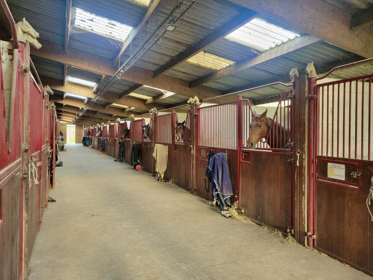 Scuderia per proprietari In vendita Loire-Atlantique