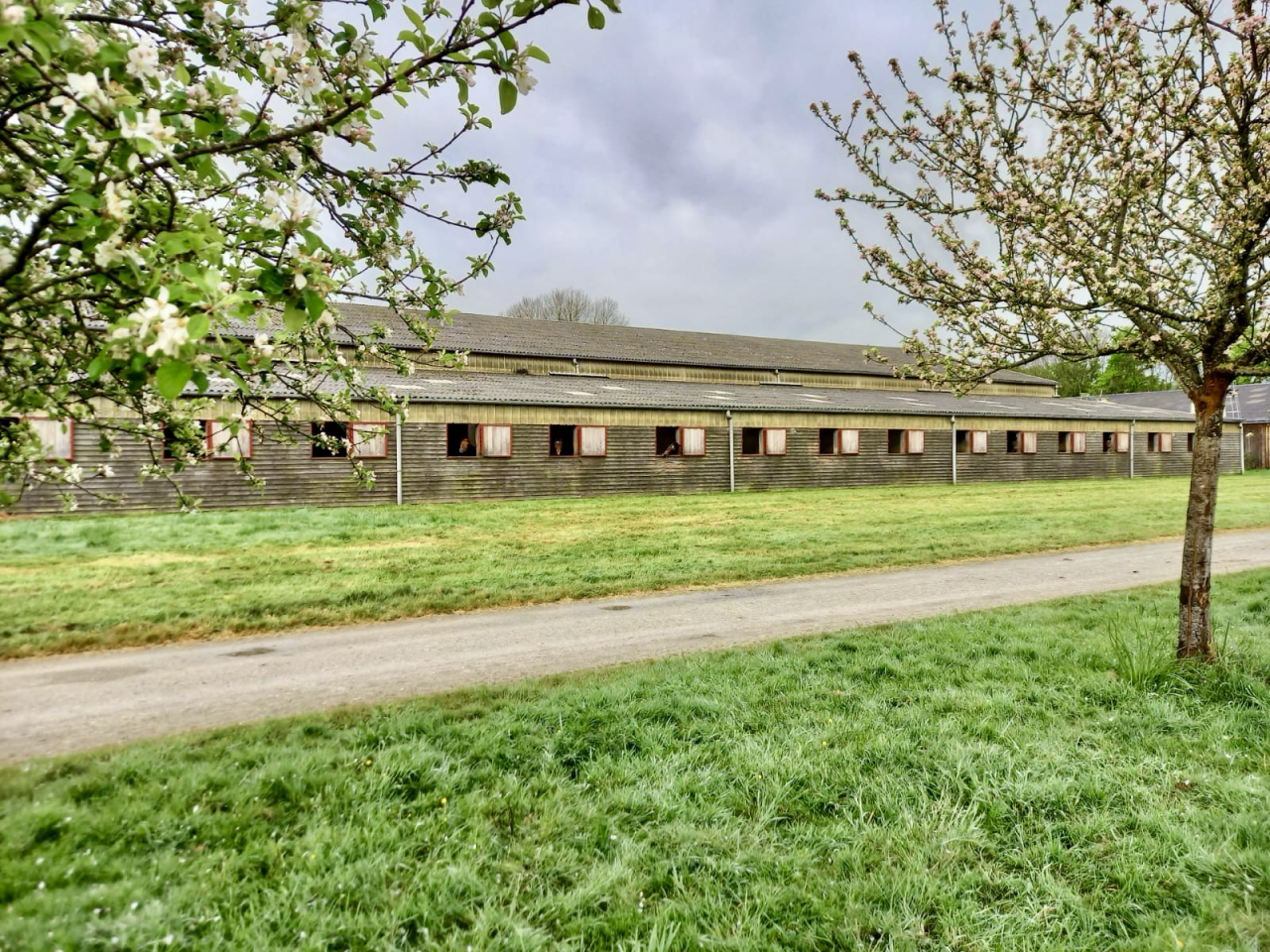 Scuderia per proprietari In vendita Loire-Atlantique