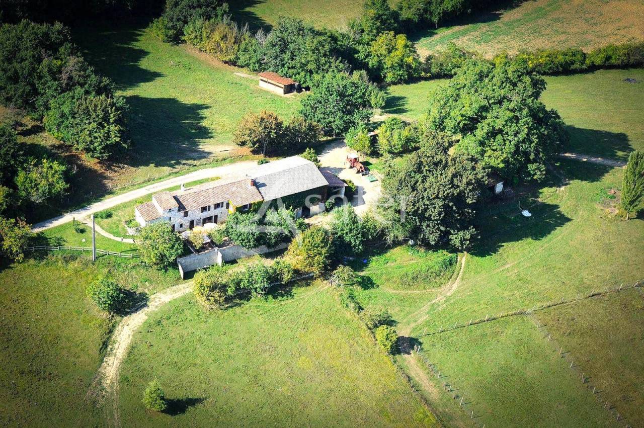 Azienda avicola In vendita Tarn-et-Garonne