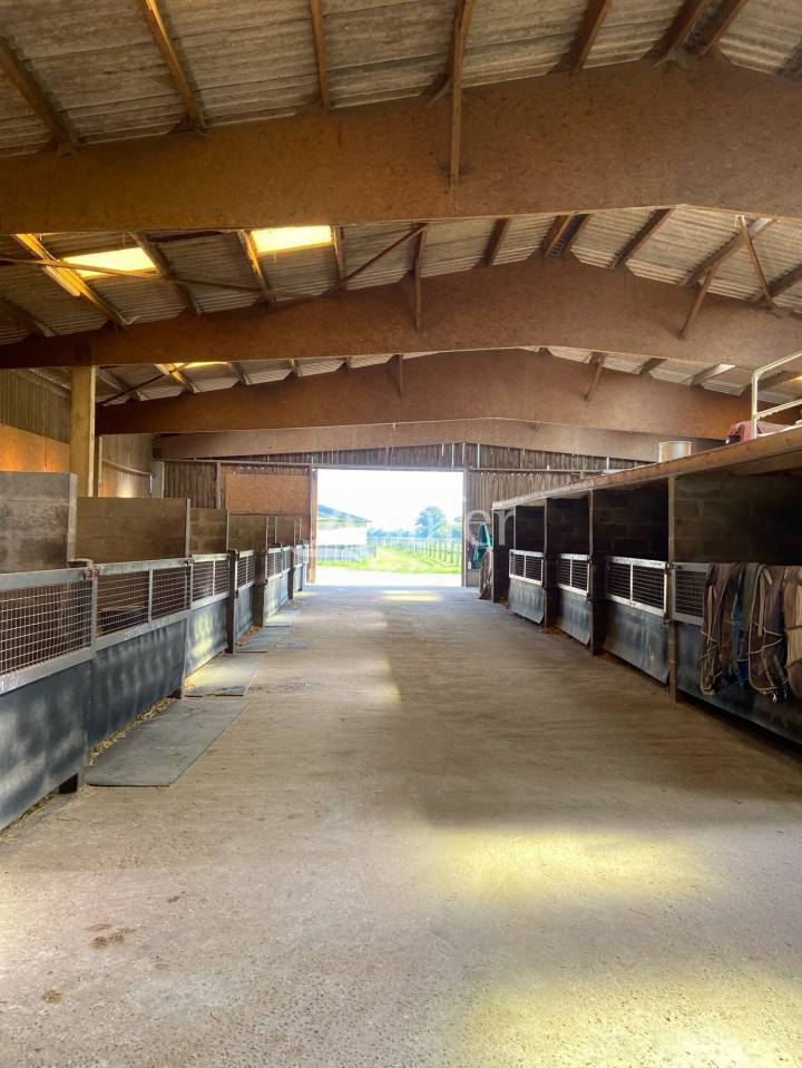 Proprietà equestre In vendita Calvados