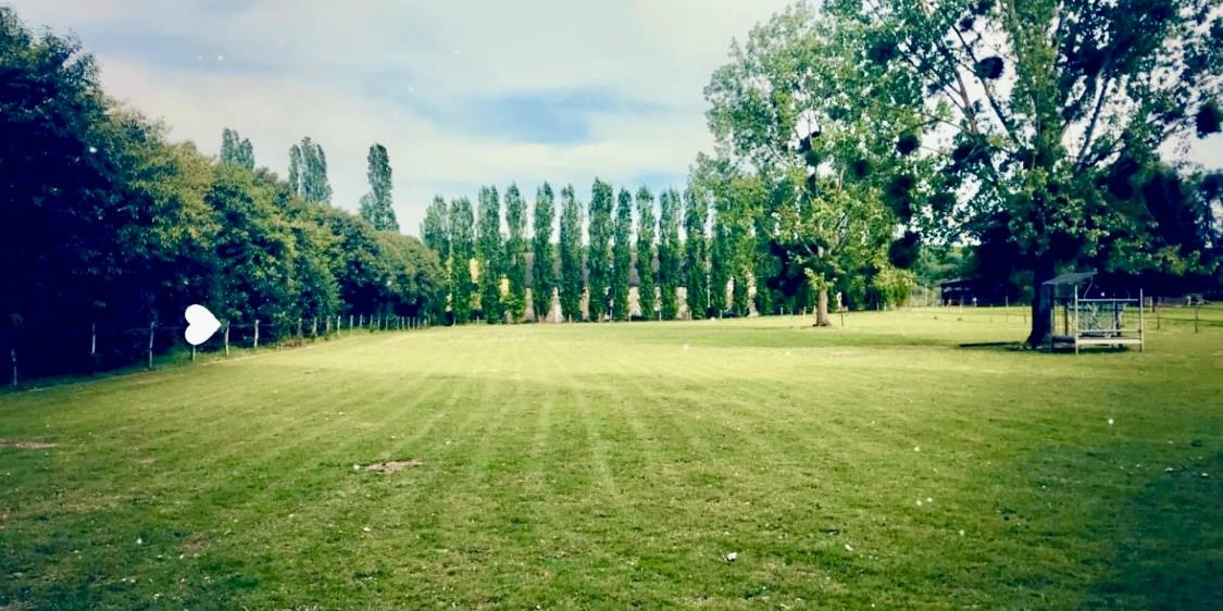 &Eacute;curies de la colombe  