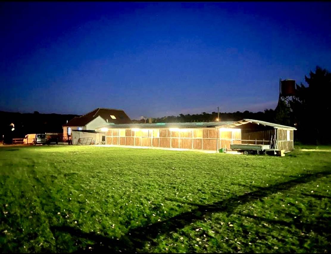 &Eacute;curies de la colombe  