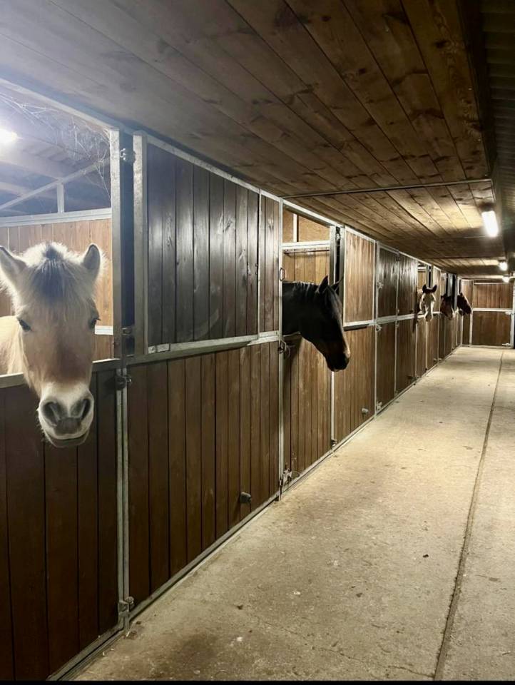 &Eacute;curies de la colombe  