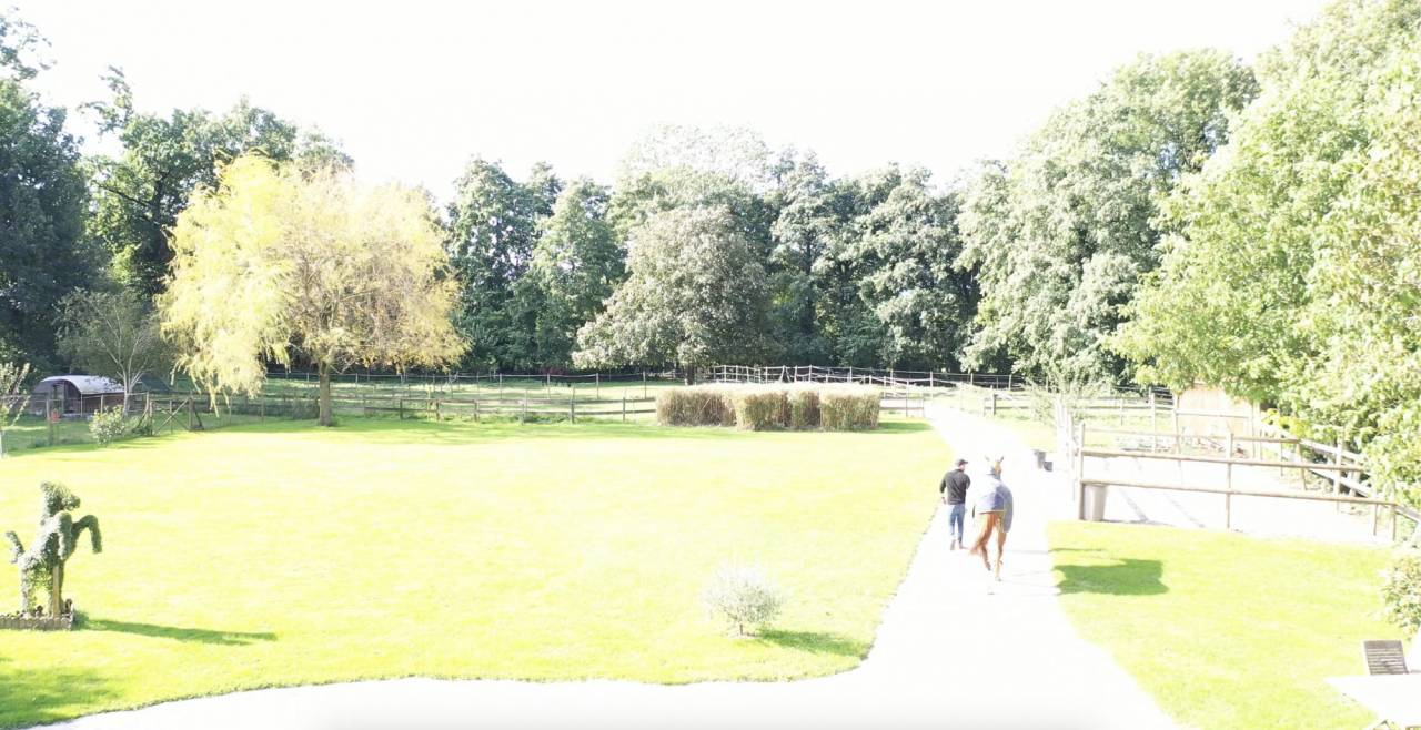 Proprietà equestre In vendita Ain