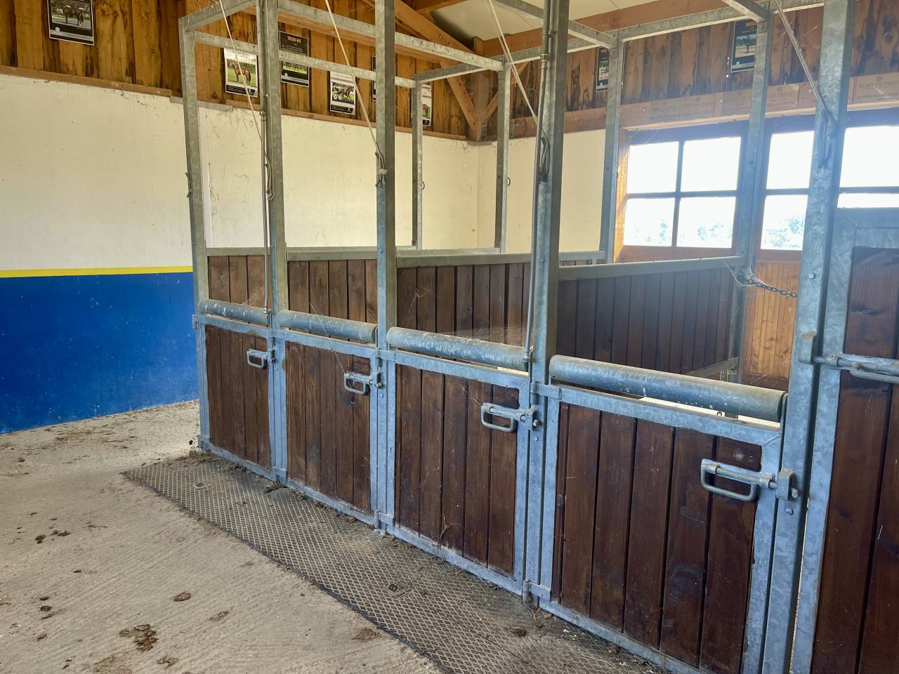 Proprietà equestre In vendita Orne