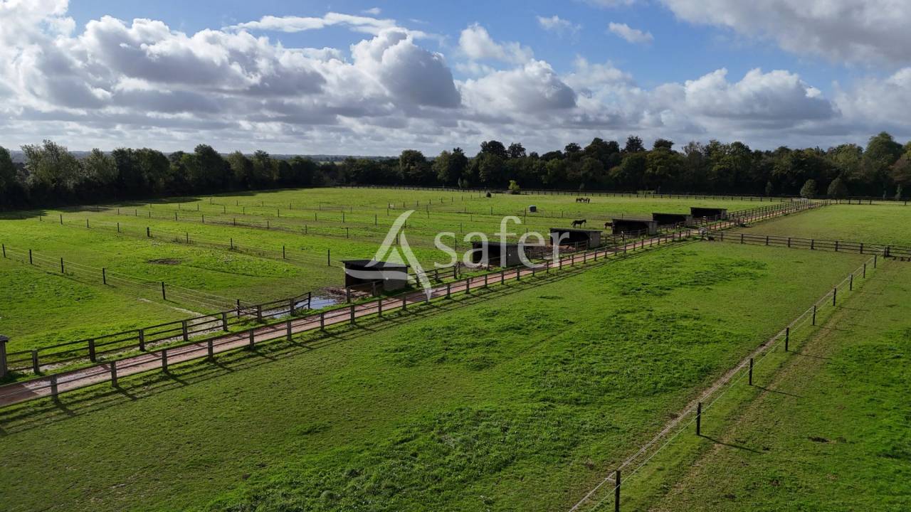 Proprietà equestre In vendita Calvados