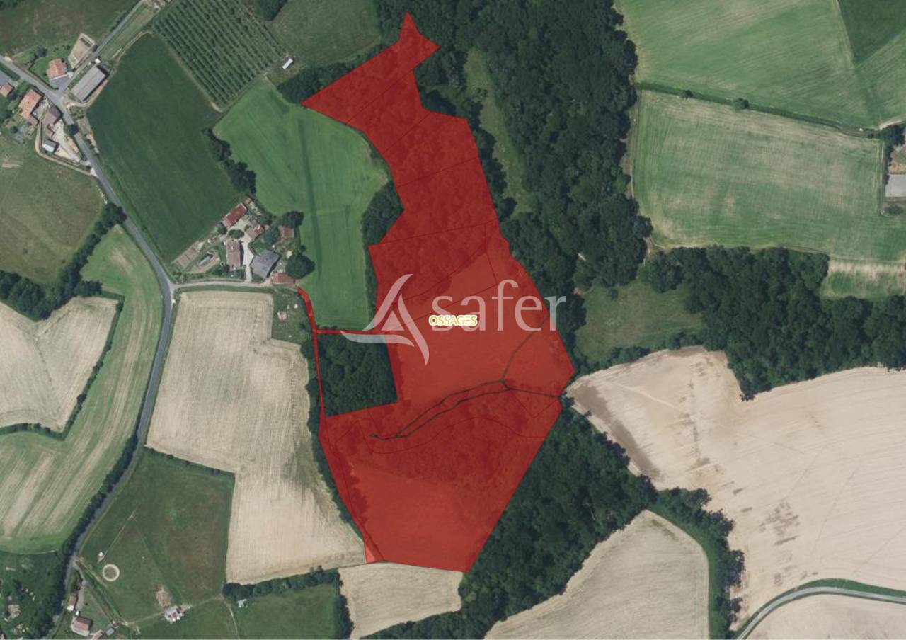 Azienda agricola In vendita Landes